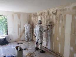 Reliable Gladewater, TX Mold Remediation Solutions